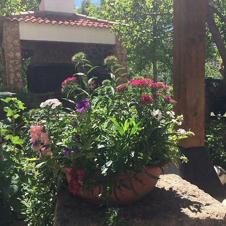 Hôtel Casas Rurales La Huerta à Salobre  Extérieur photo