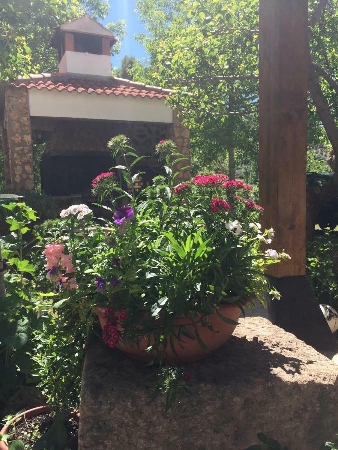 Hôtel Casas Rurales La Huerta à Salobre  Extérieur photo